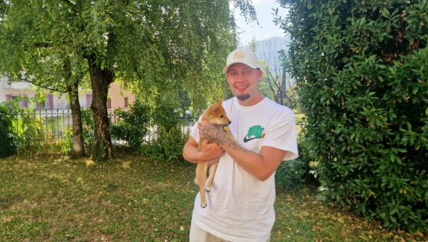 Le vol de chien qui se termine bien 